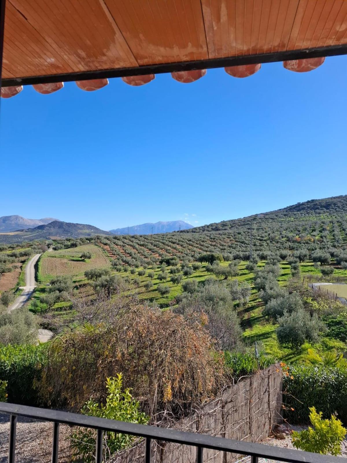 Hacienda Riogordo B&B 외부 사진