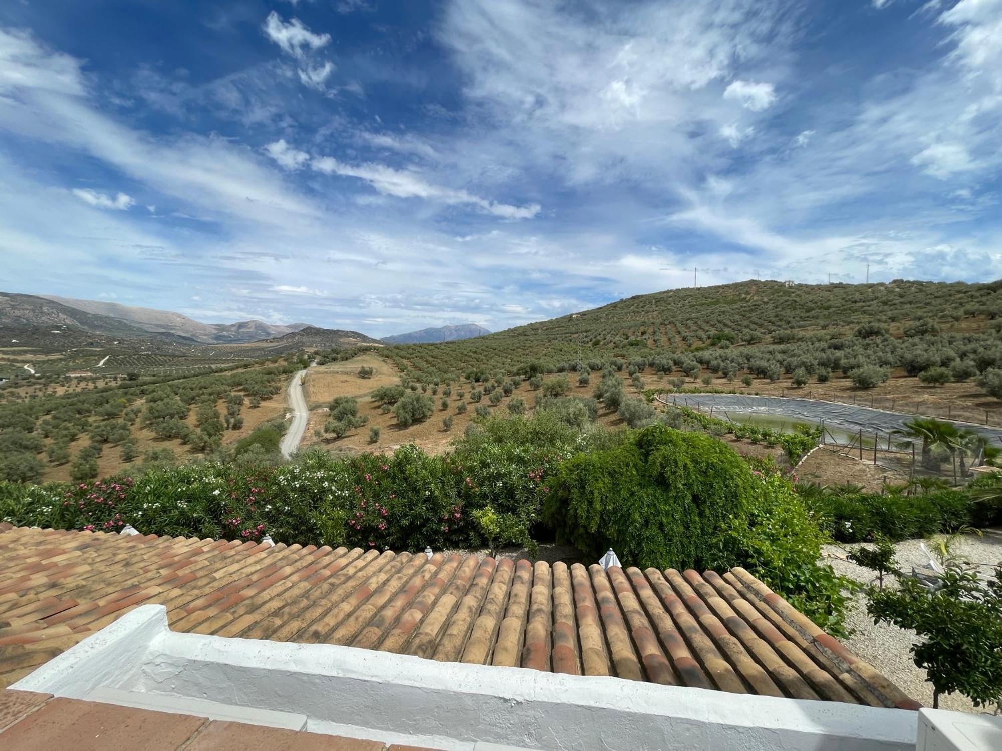 Hacienda Riogordo B&B 외부 사진